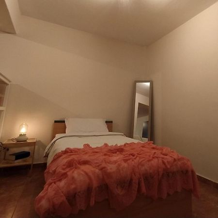 Káto Lekhónia Karavos Grove 빌라 외부 사진
