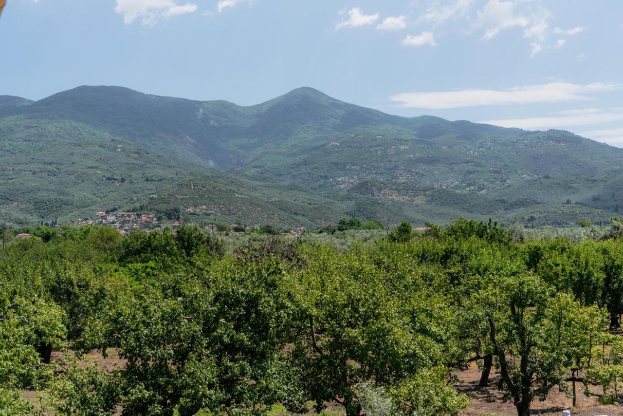 Káto Lekhónia Karavos Grove 빌라 외부 사진